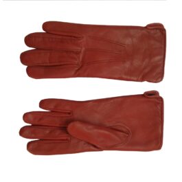 Dressing Gloves