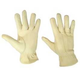 Dressing Gloves