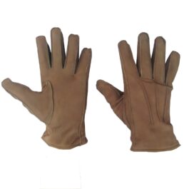 Dressing Gloves