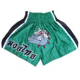 MMA  Ninja Shorts